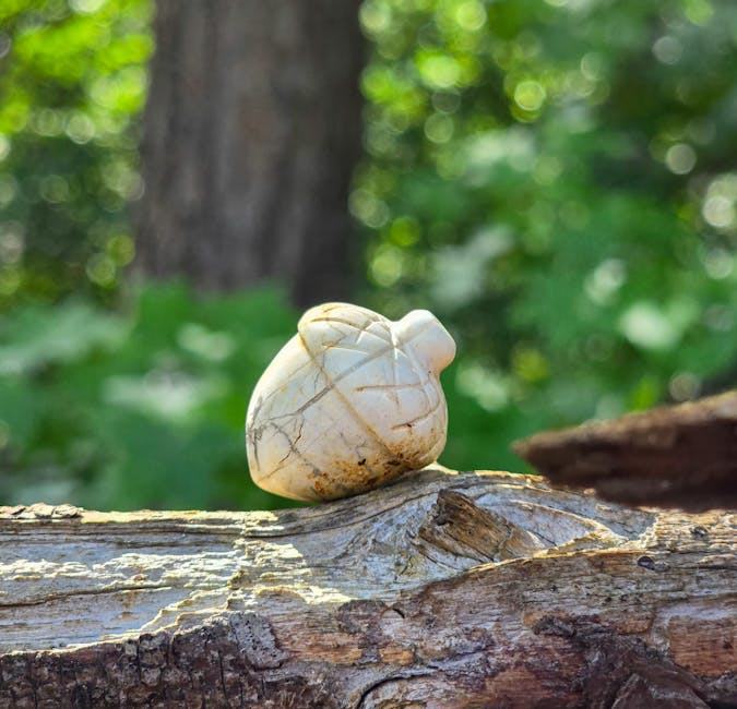 Cadre bois sculpté feuillage : art de la sculpture sur bois