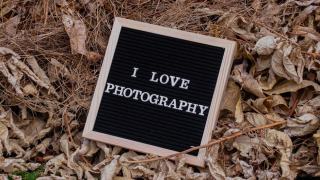 Cadre bois doré : moulures et encadrements élégants