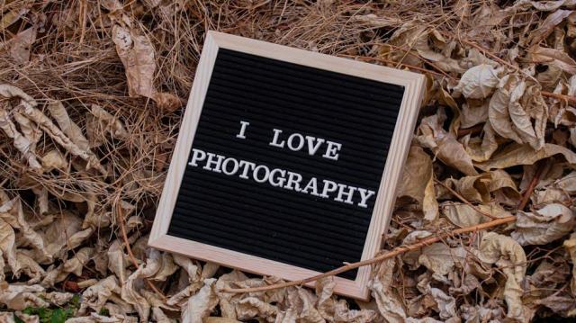 Le cadre en bois doré : des moulures classiques aux finitions contemporaines